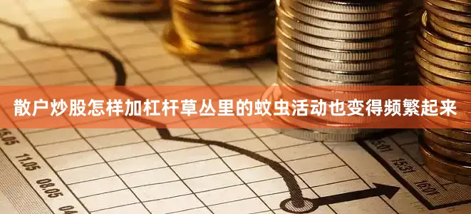 散户炒股怎样加杠杆草丛里的蚊虫活动也变得频繁起来