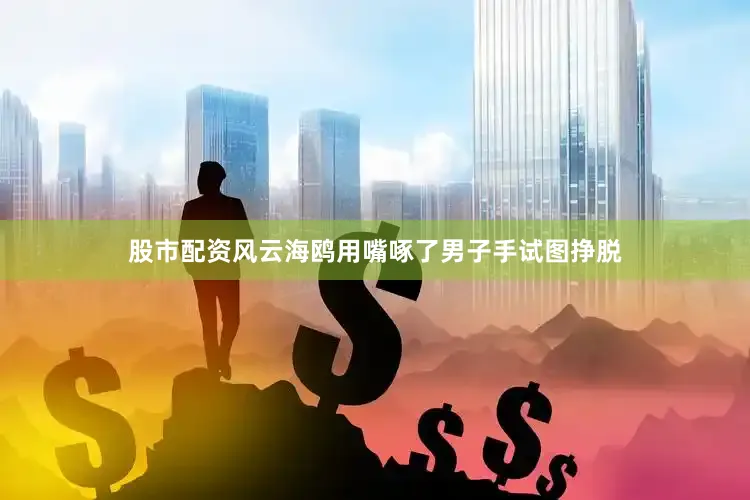 股市配资风云海鸥用嘴啄了男子手试图挣脱