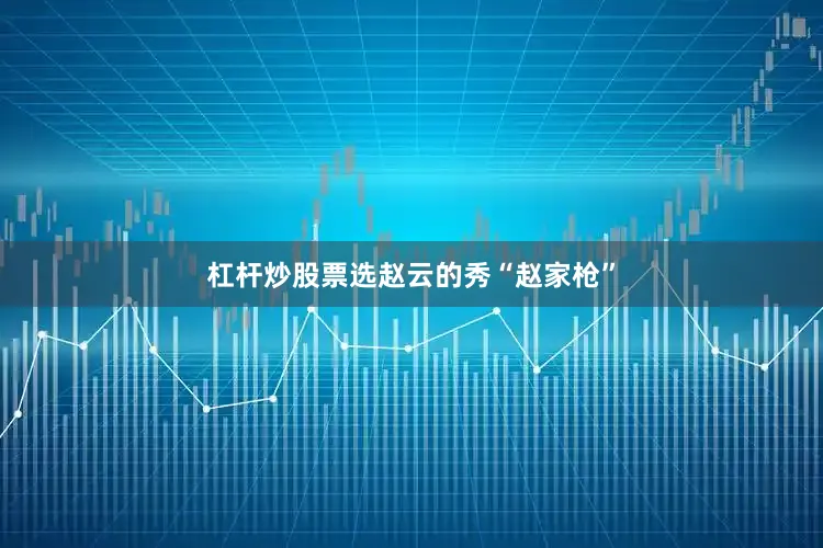 杠杆炒股票选赵云的秀“赵家枪”
