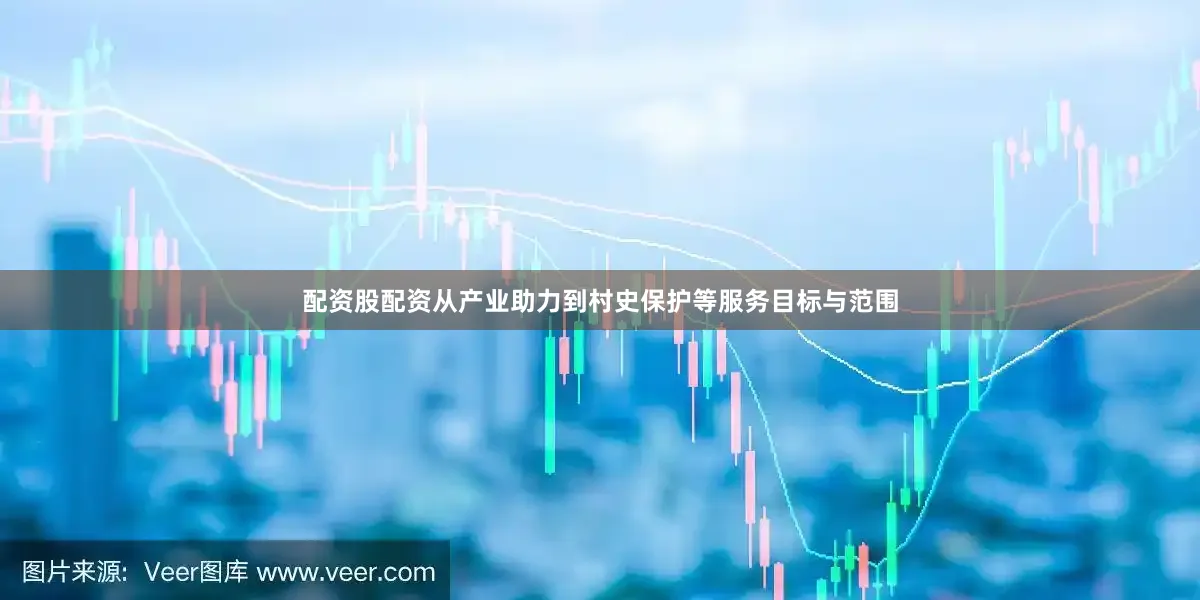 配资股配资从产业助力到村史保护等服务目标与范围