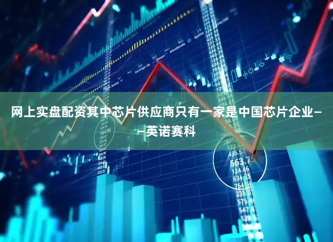 网上实盘配资其中芯片供应商只有一家是中国芯片企业——英诺赛科